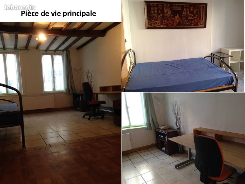 Appartement à louer, 43m², Lille