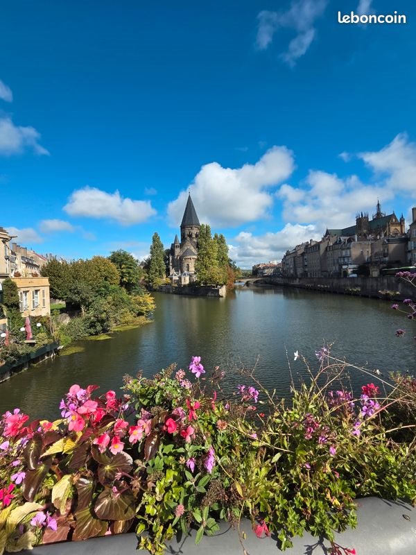Appartement à louer, 19m², Metz
