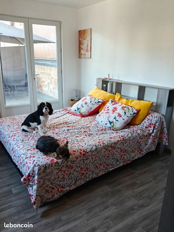 Appartement à vendre, 69m², Amélie-les-Bains-Palalda