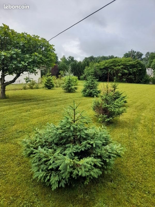 Maison à vendre, 110m², Aire-sur-l'Adour