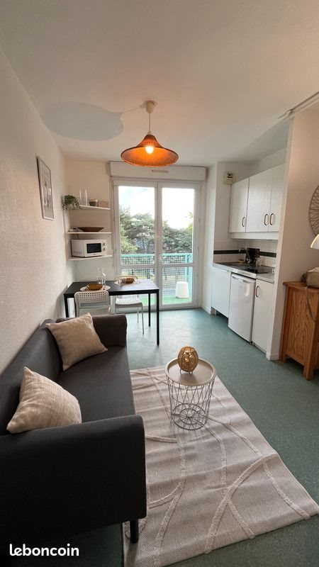 Appartement à louer, 21m², Pau