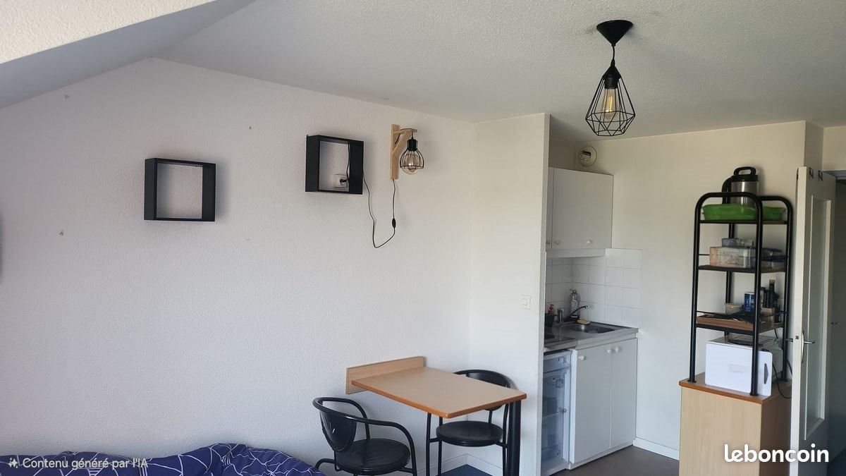 Appartement à louer, 24m², Olivet