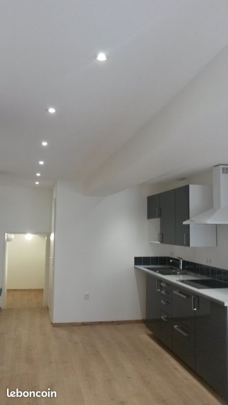 Appartement à louer, 39m², Caluire-et-Cuire