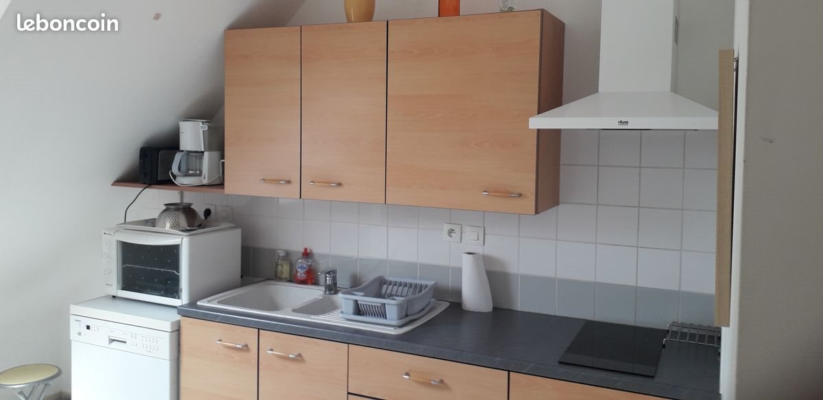 Appartement à louer, 60m², Amboise