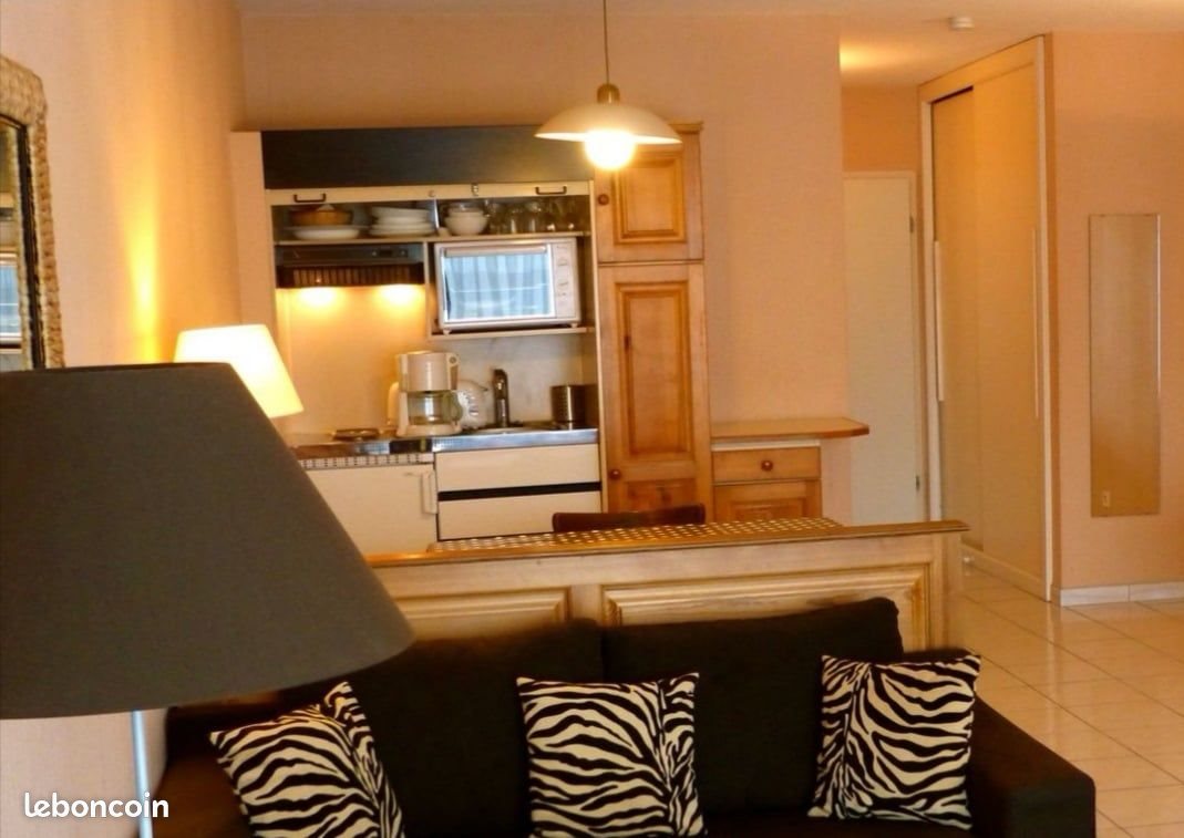 Appartement à louer, 40m², Haguenau