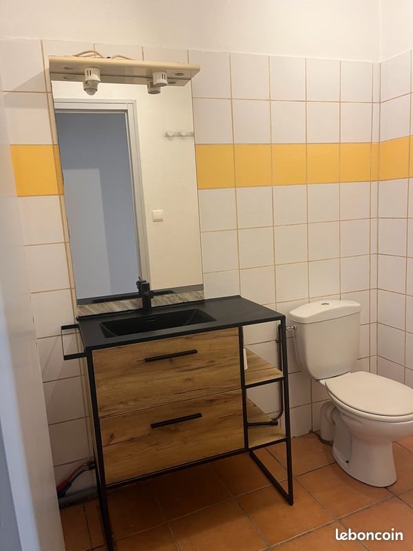 Appartement à louer, 40m², Albi