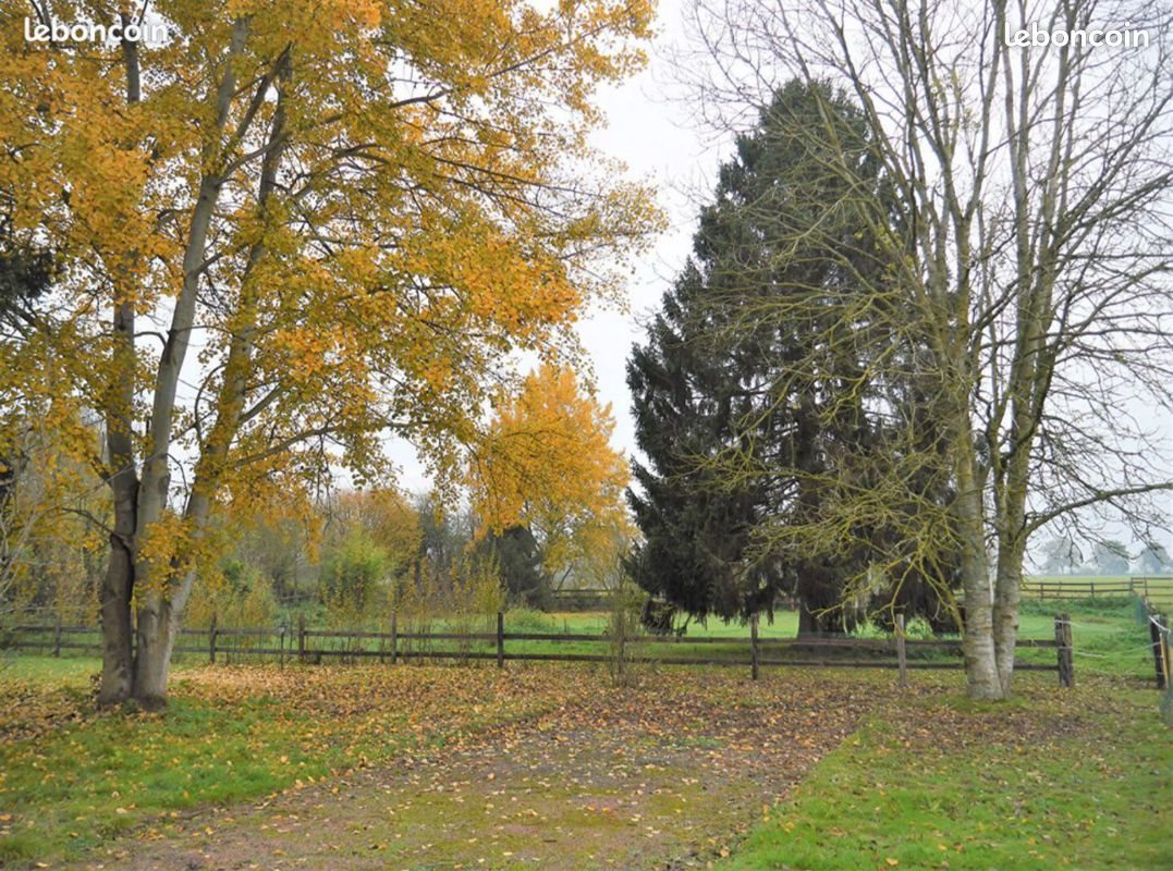 Maison à vendre, 200m², Thiberville