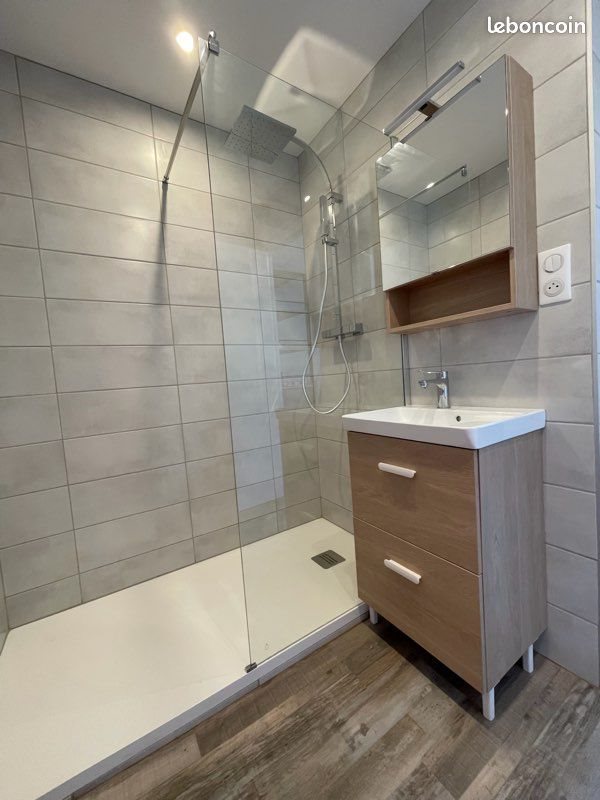 Appartement à louer, 32m², Saint-Étienne