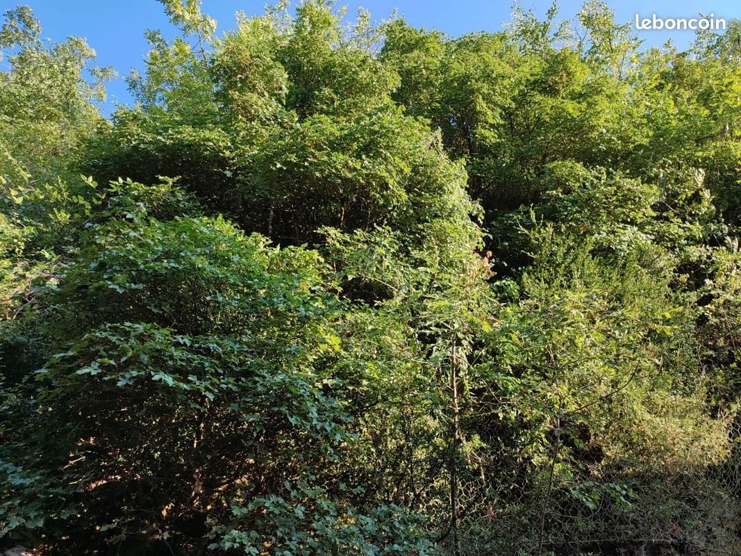 Maison à vendre, 75m², La Canourgue