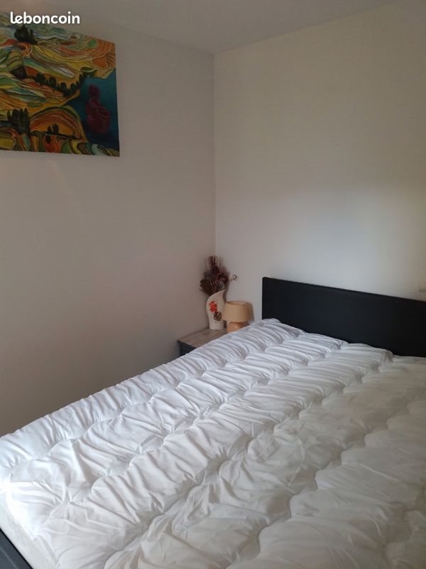 Appartement à louer, 27m², Aix-les-Bains