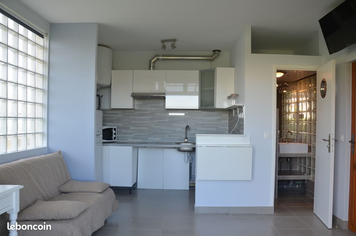 Appartement à louer, 19m², Saulx-les-Chartreux