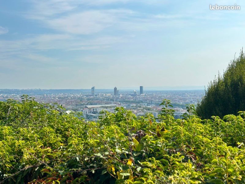 Appartement à louer, 21m², Sainte-Foy-lès-Lyon