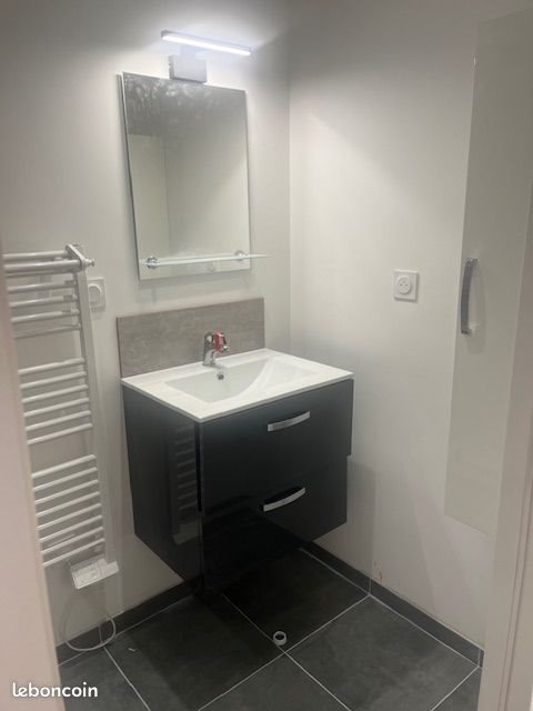 Appartement à louer, 55m², Saint-Etienne