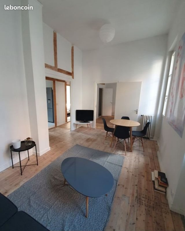 Appartement à louer, 56m², Saint-Étienne