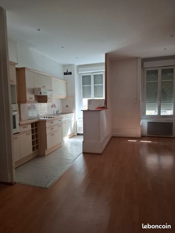 Appartement à louer, 46m², Lyon 7ème