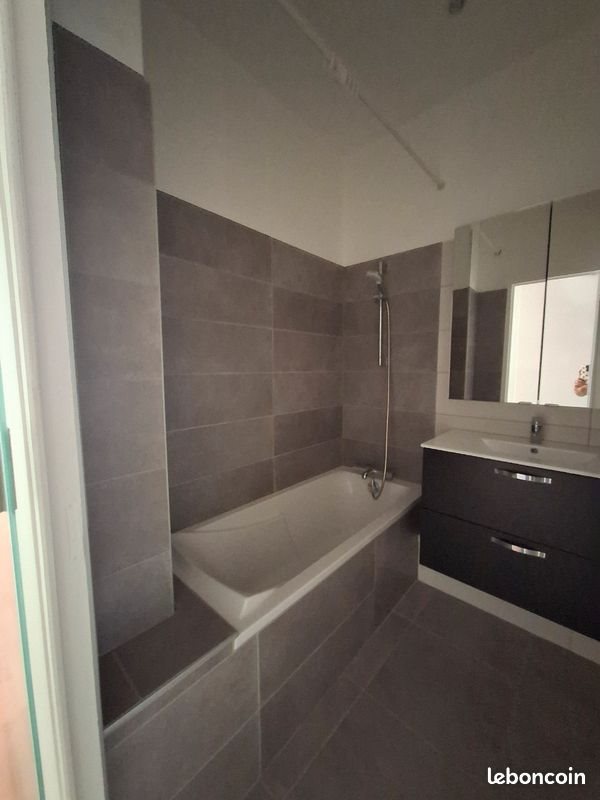 Appartement à louer, 46m², Lyon 7ème