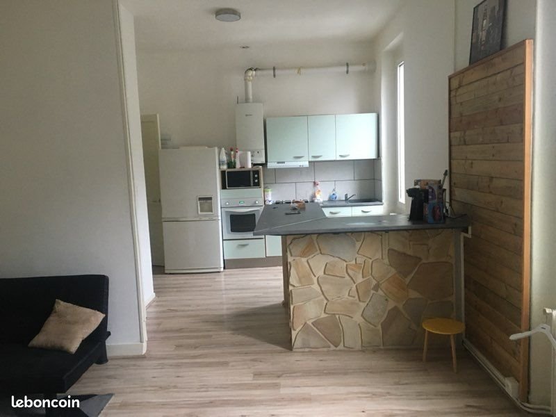 Appartement à vendre, 55m², Le Chambon-Feugerolles