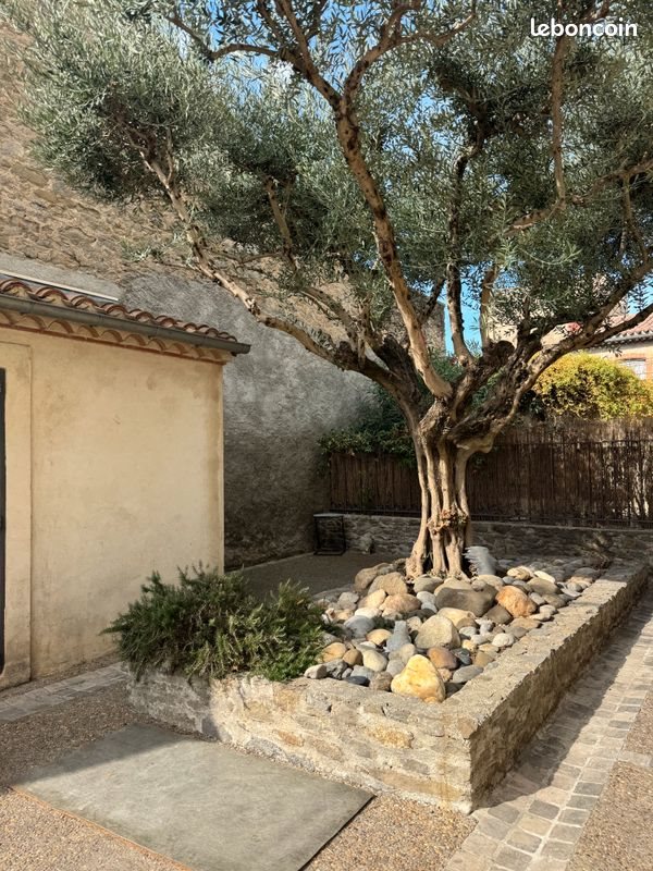 Appartement à louer, 46m², Carcassonne