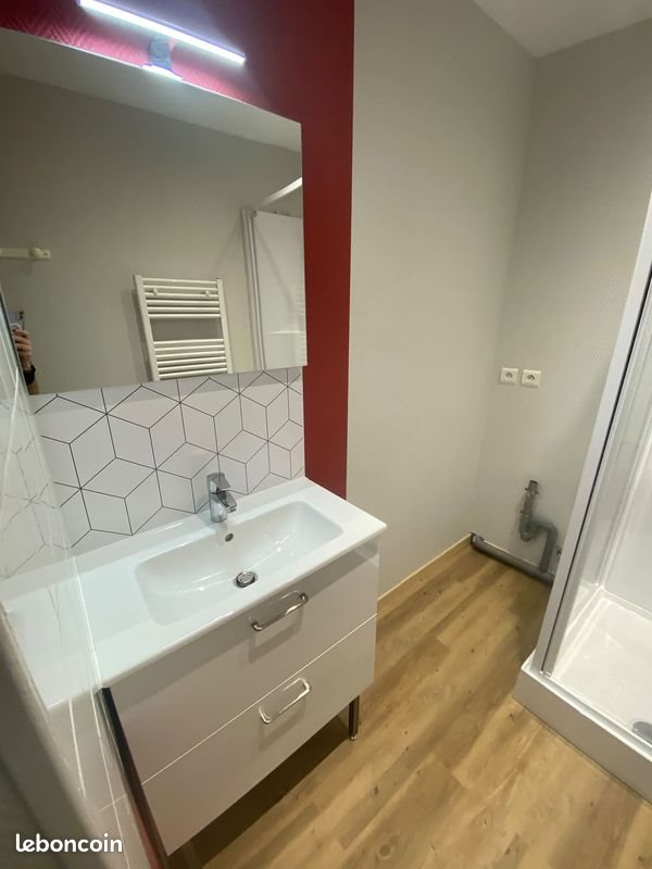 Appartement à louer, 49m², Amplepuis