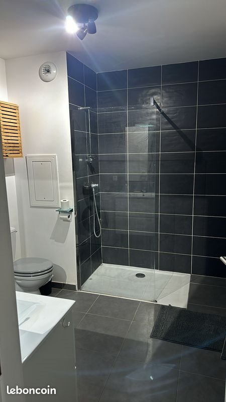 Appartement à louer, 50m², Vinay