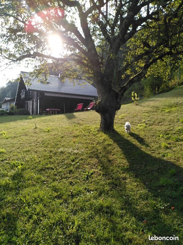 Maison à louer, 120m², Lugrin