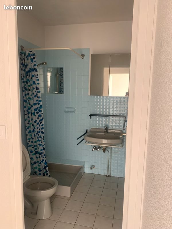 Appartement à vendre, 23m², Grenoble