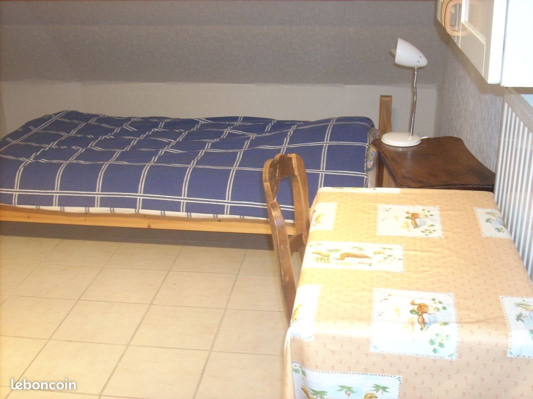 Appartement à louer, 16m², Angers