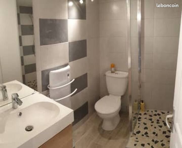 Appartement à louer, 25m², Roanne