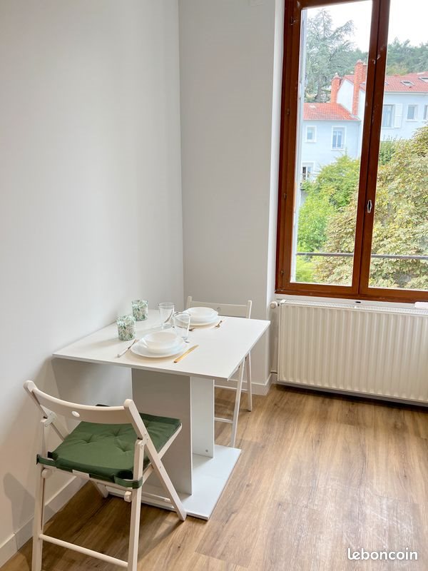 Appartement à louer, 33m², Saint-Etienne