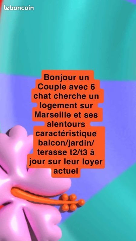 Appartement à louer, 50m², Marseille 3ème