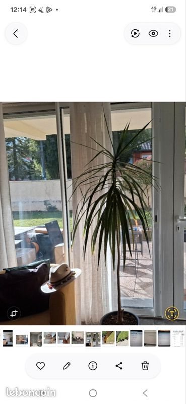 Appartement à vendre, 62m², Neuville-sur-Saône