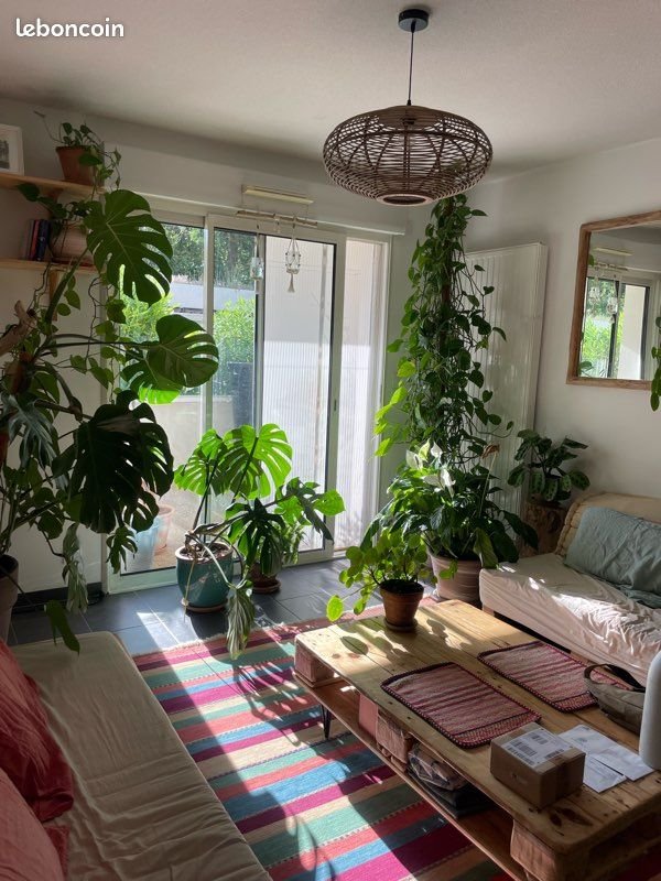 Appartement à louer, 40m², Seignosse