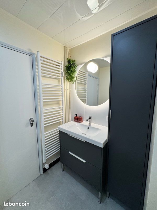 Appartement à louer, 50m², Colmar