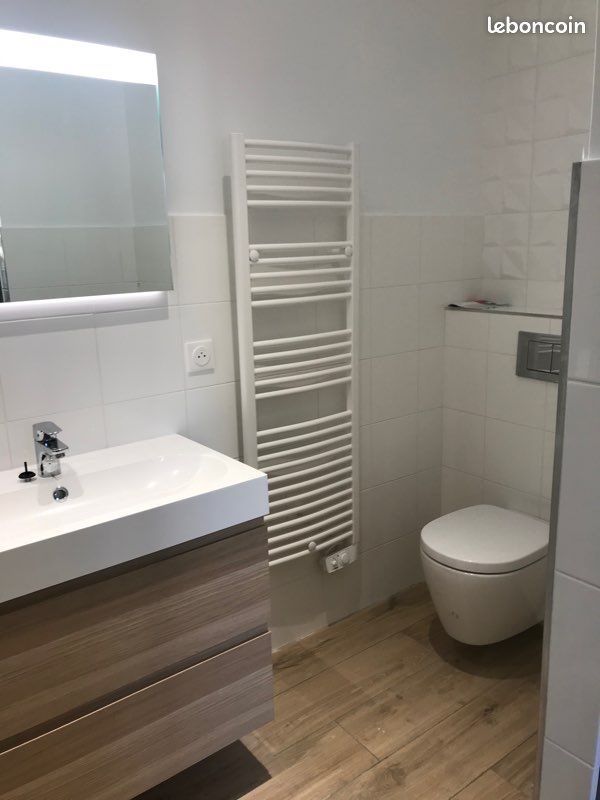 Appartement à louer, 37m², Saint-Étienne