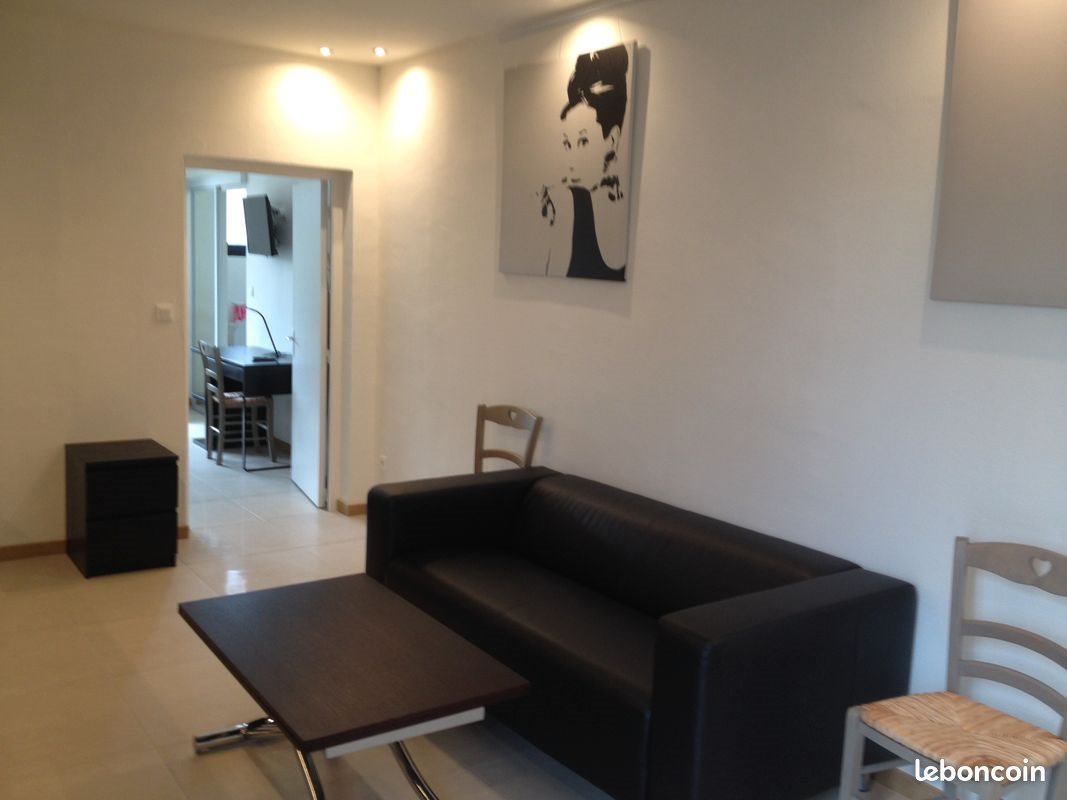 Appartement à louer, 36m², Olivet