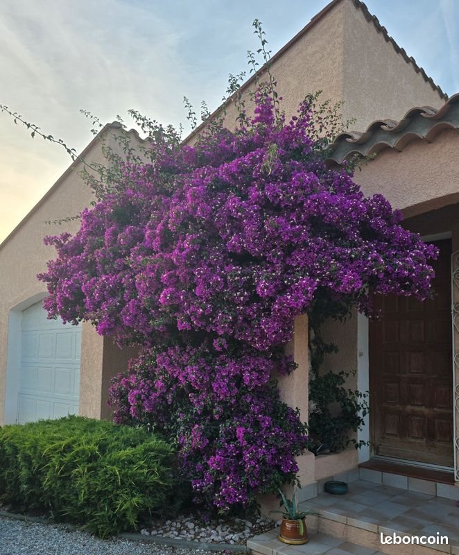 Maison à vendre, 115m², Pia