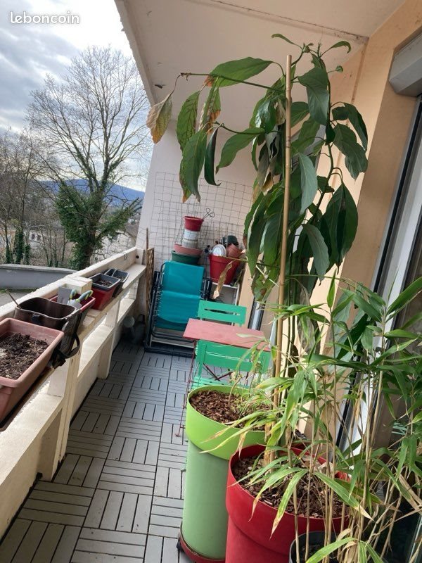 Appartement à vendre, 61m², Neuville-sur-Saône