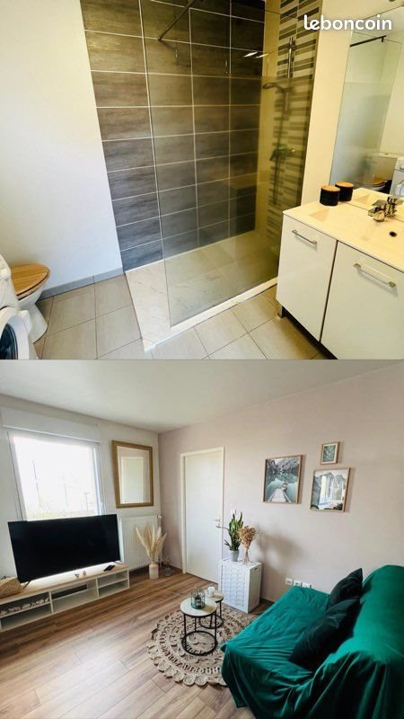 Appartement à louer, 48m², Châteaugiron