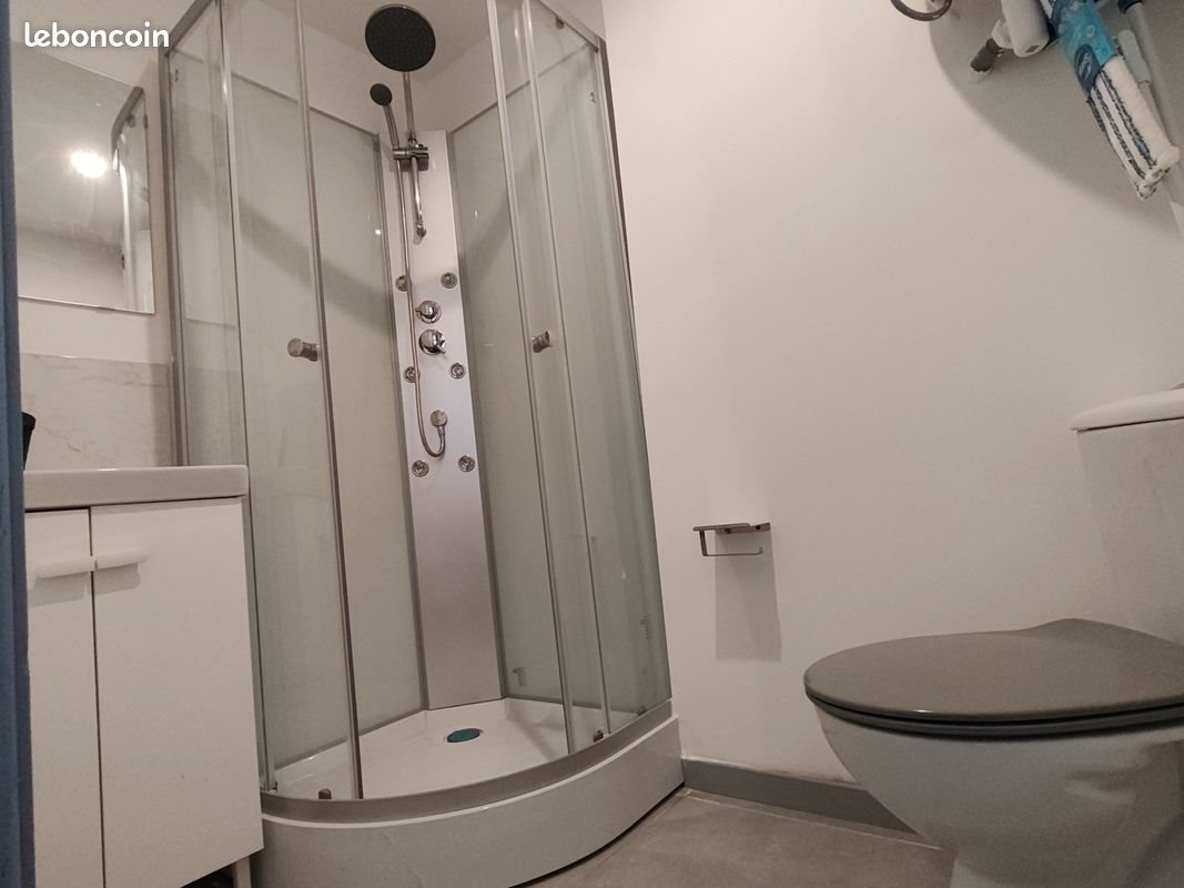 Appartement à louer, 16m², Lille