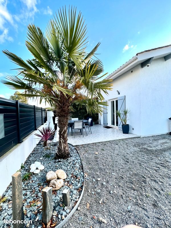 Maison à louer, 53m², Hourtin