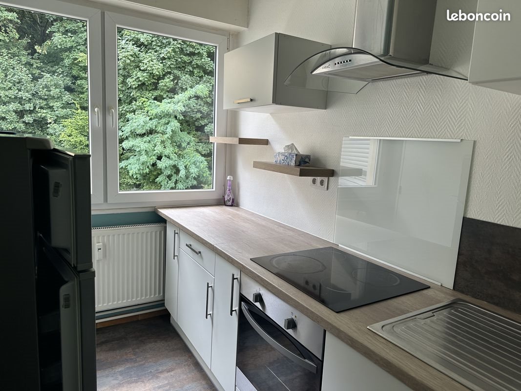 Appartement à louer, 50m², Saint-Avold