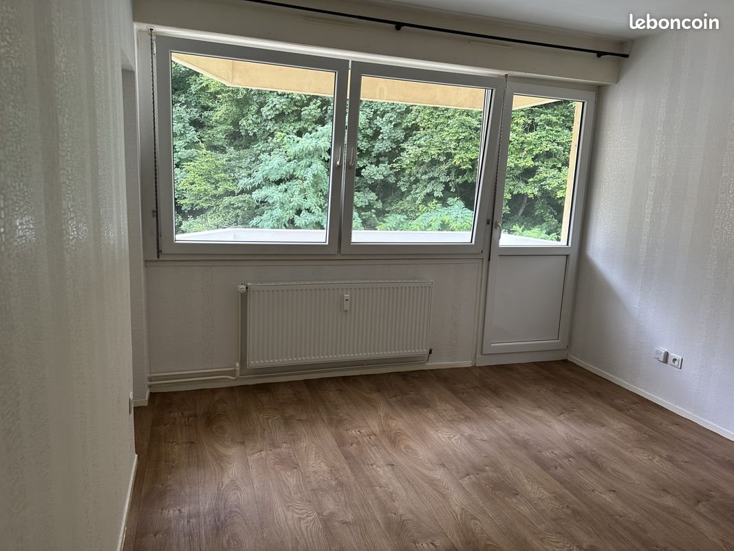 Appartement à louer, 50m², Saint-Avold