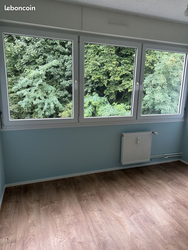Appartement à louer, 50m², Saint-Avold