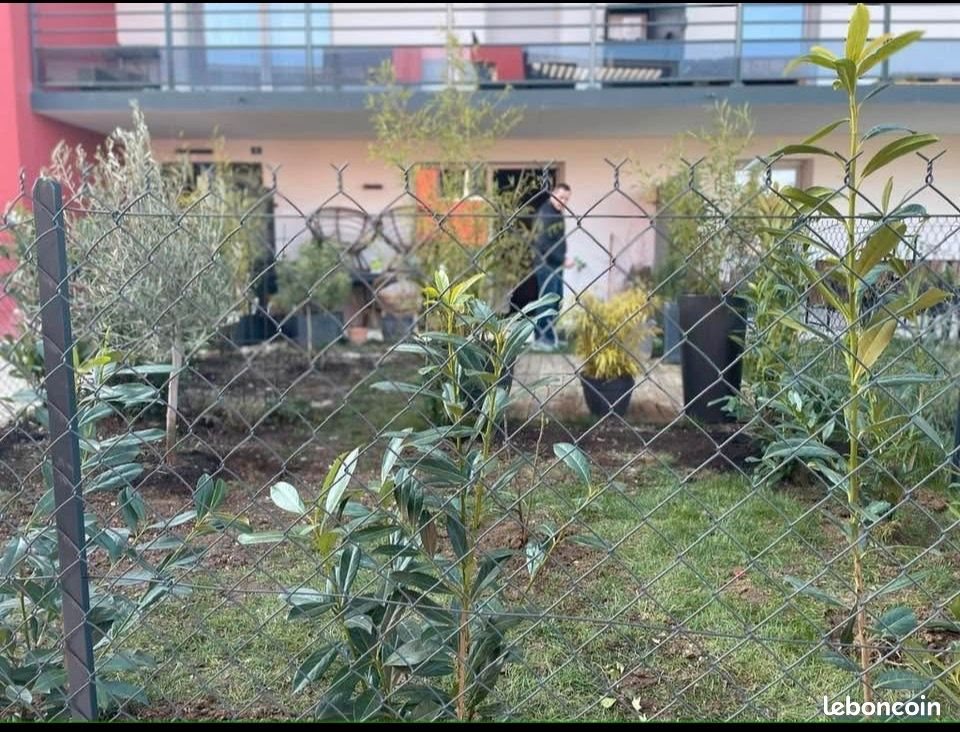 Appartement à louer, 28m², Saint-Apollinaire