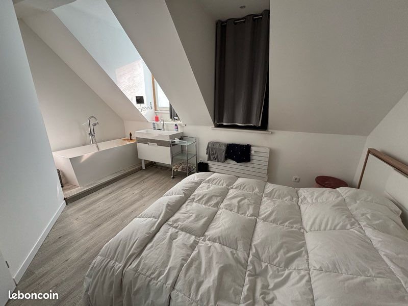 Appartement à louer, 58m², Lille