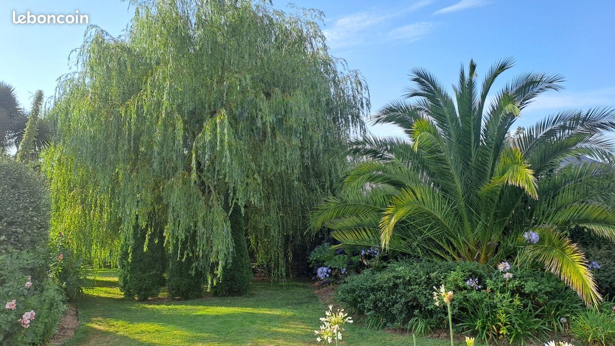Maison à vendre, 120m², Logonna-Daoulas