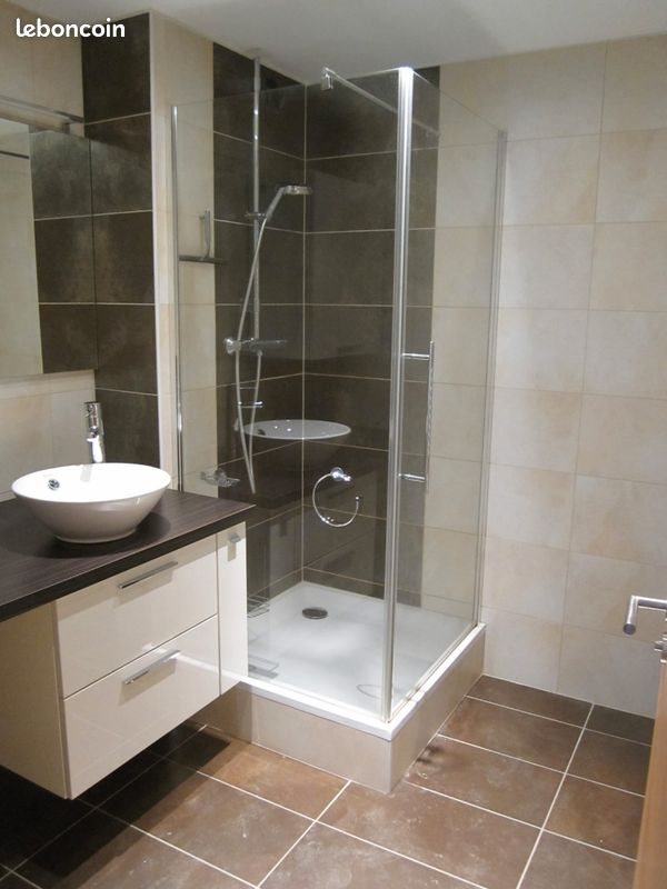 Appartement à louer, 50m², Colmar