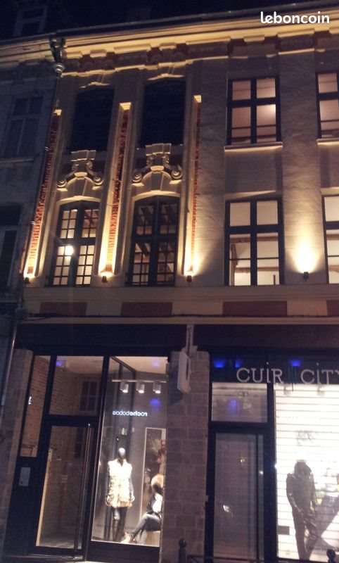 Appartement à louer, 71m², Lille