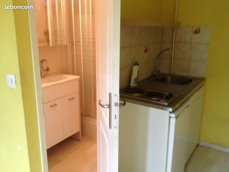Appartement à louer, 12m², La Mulatière