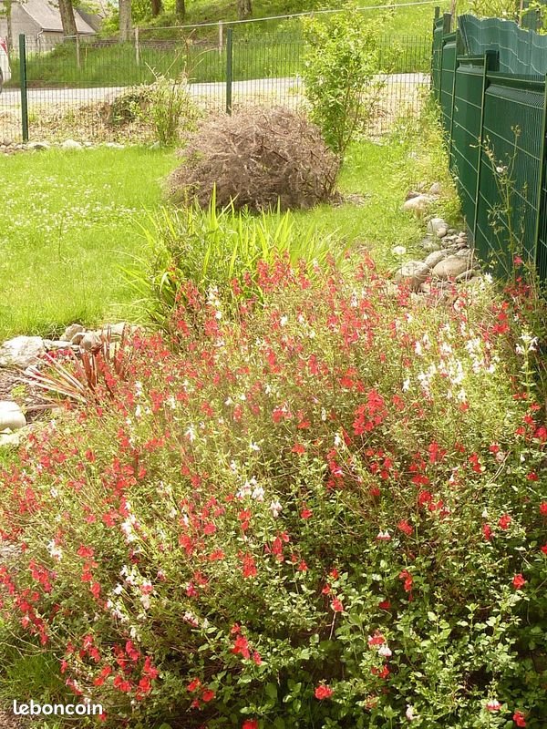 Appartement à louer, 95m², Nay
